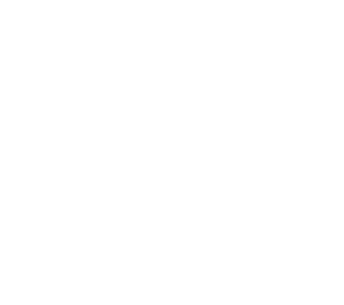 Welt logo